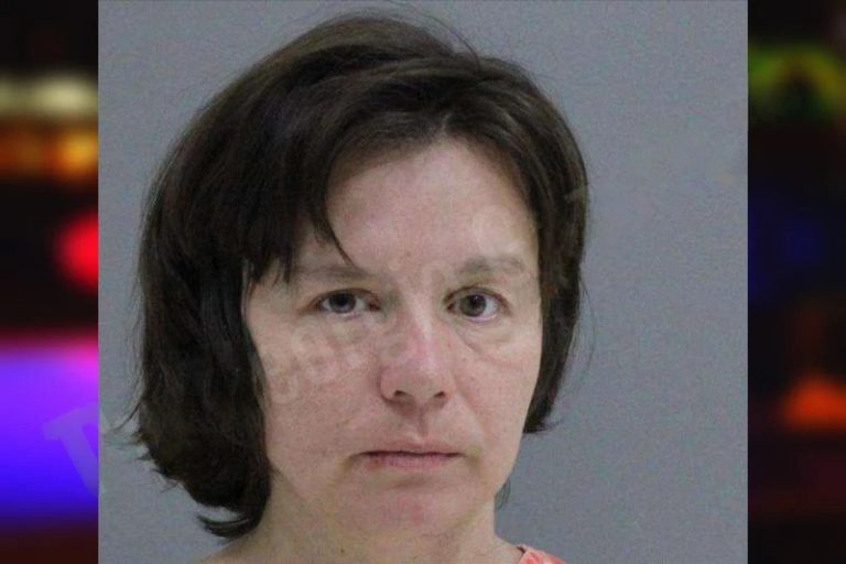 Jana Smith mugshot – Rabun County , Georgia Jana Smith