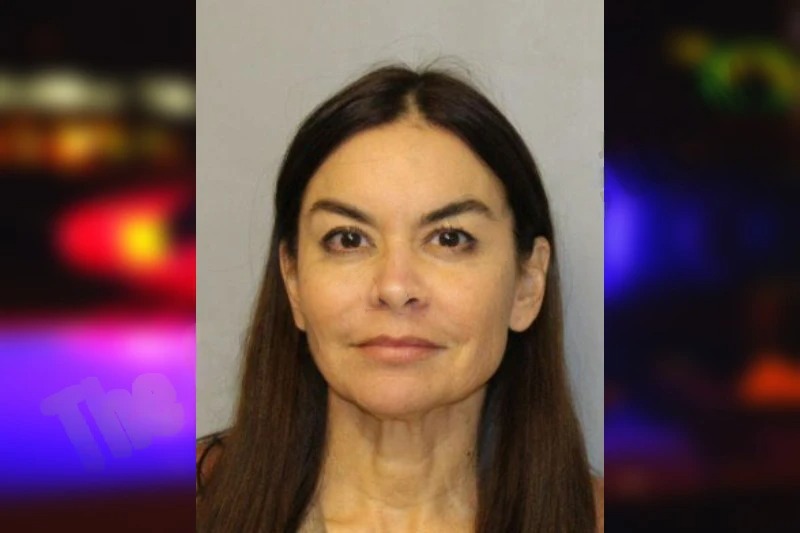 Janet Reginer mugshot – Hall County , Georgia Janet Reginer mugshot