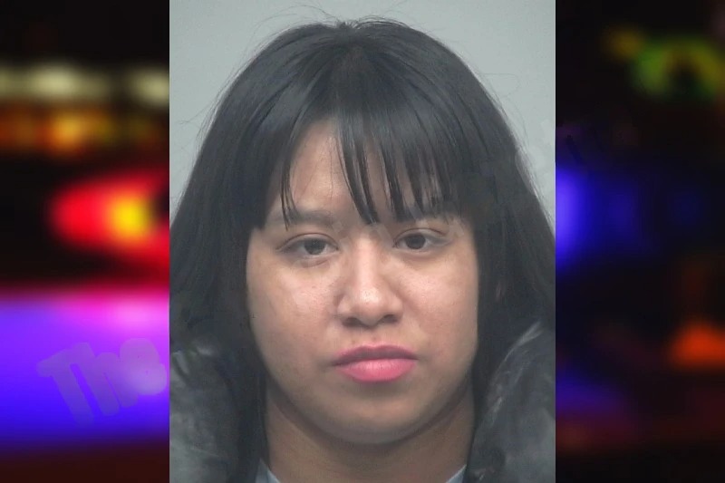 Janete Mendez Flores mugshot