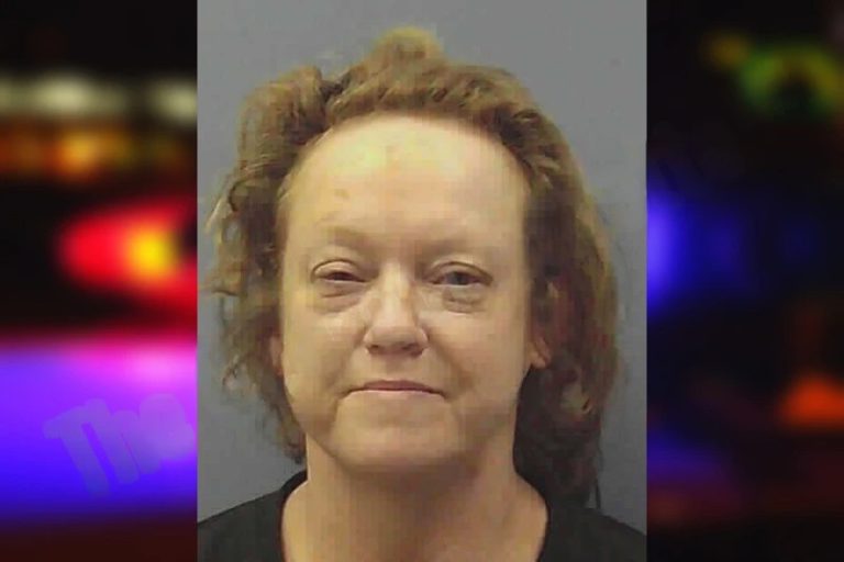 Janice Bailey mugshot – Chattooga County , Georgia Janice Bailey