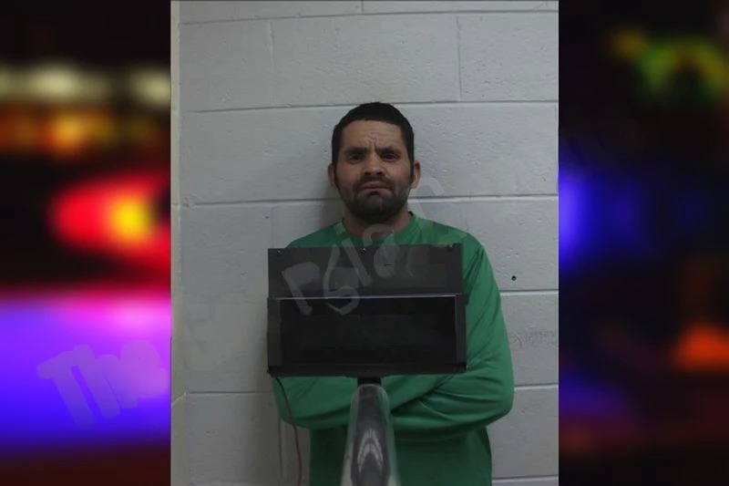 Jany Cantillano-Miraldo Mugshots