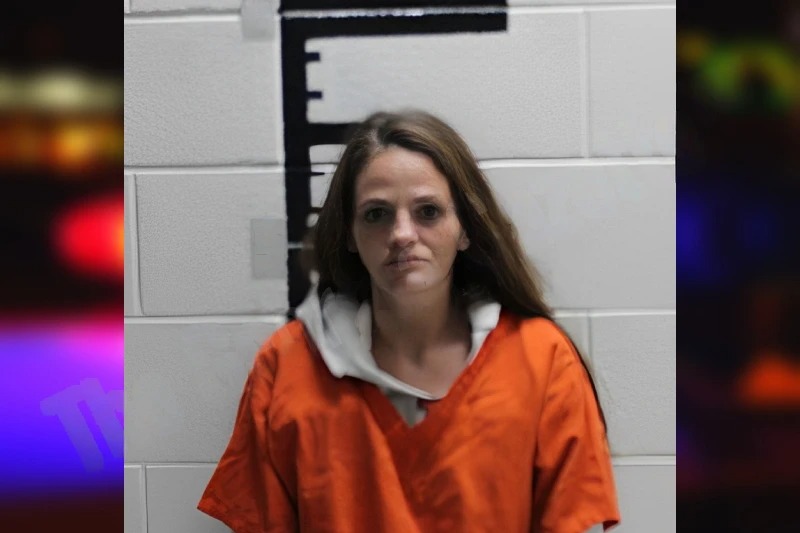 Janyne Lorino mugshot – Murray County , Georgia Janyne Lorino mugshot
