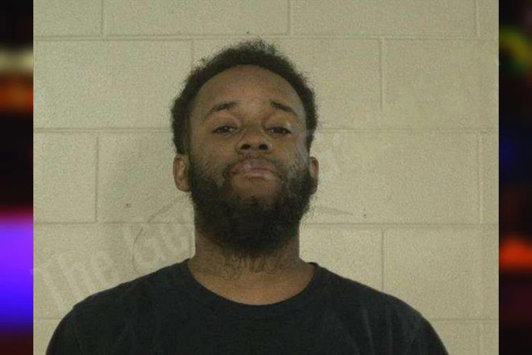 Jaquincy Campbell mugshot – Liberty County , Georgia Jaquincy Campbell