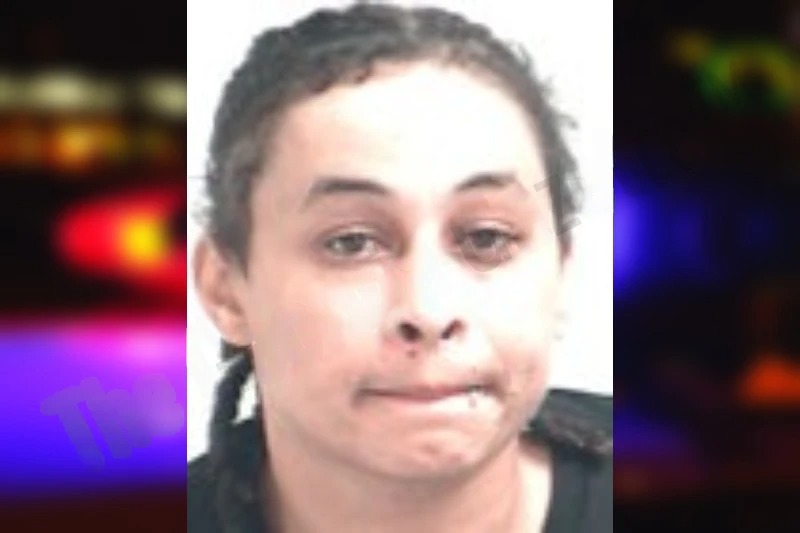 Jasmine Morales mugshot – Henry County , Georgia Jasmine Morales mugshot