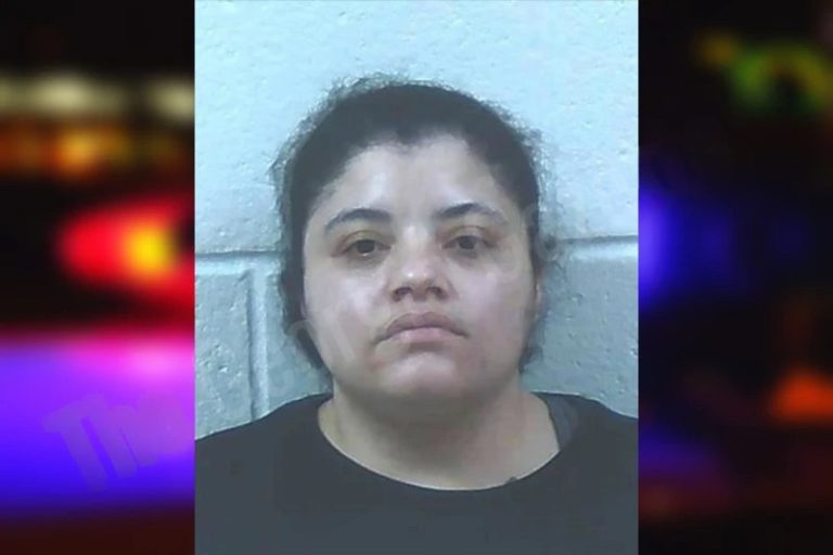 Jasmine Phelps mugshot – Jackson County , Georgia Jasmine Phelps