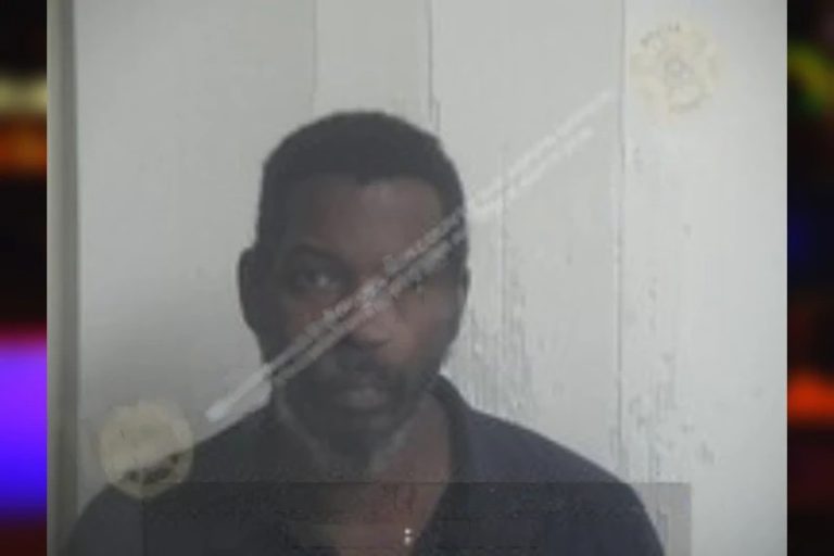 Jasmond Meadows mugshot – Walton County , Georgia Jasmond Meadows