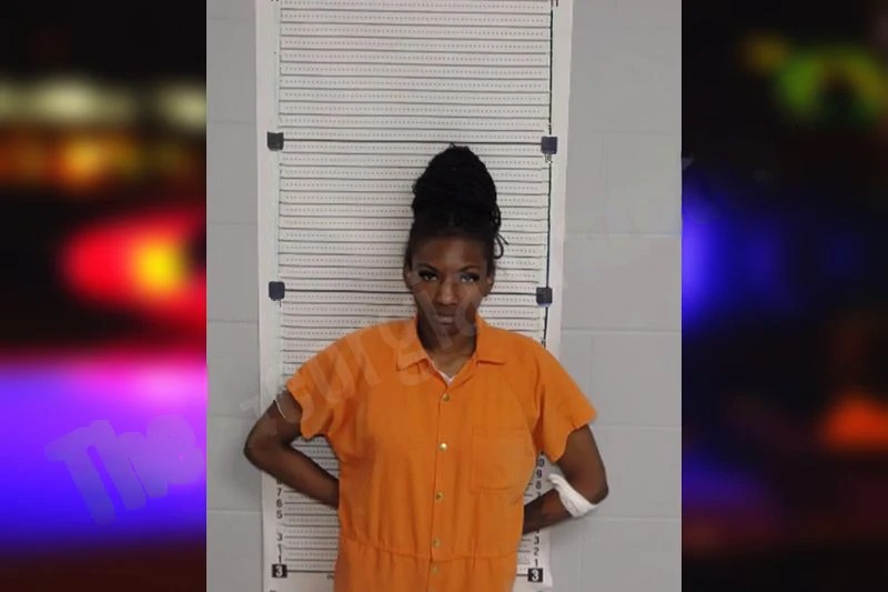 Jayla Renfroe Johnson mugshot