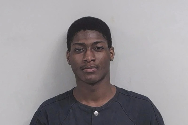 Jaymarion Johnson Mugshots