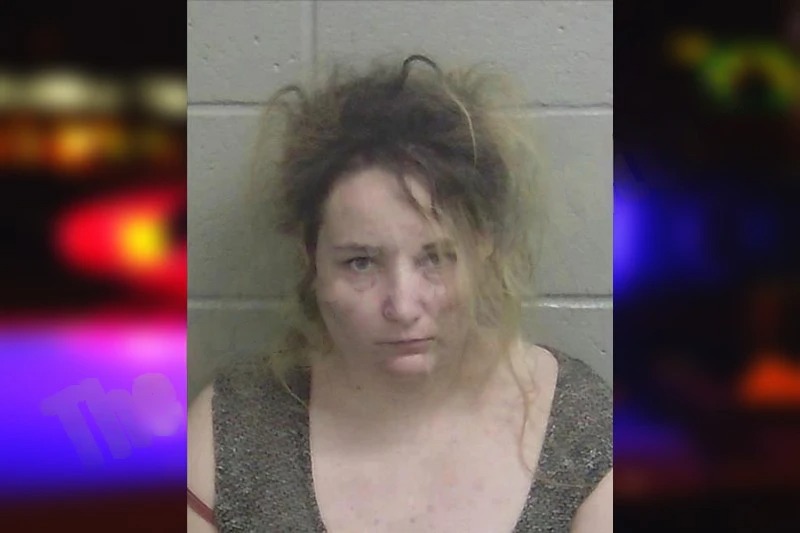 Jennifer Bell mugshot – Wayne County , Georgia Jennifer Bell mugshot