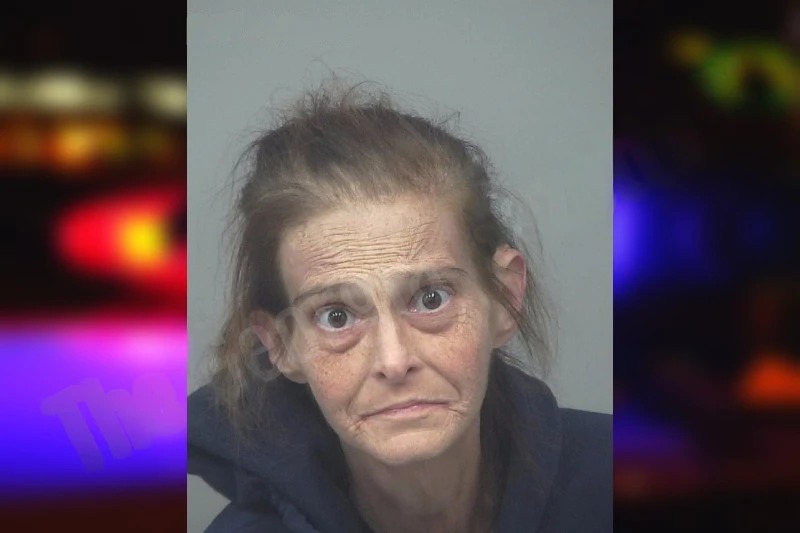 Jennifer Bryant Mugshots