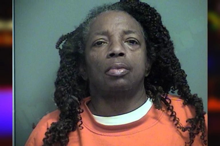 Jennifer Hunter mugshot – Effingham County , Georgia Jennifer Hunter