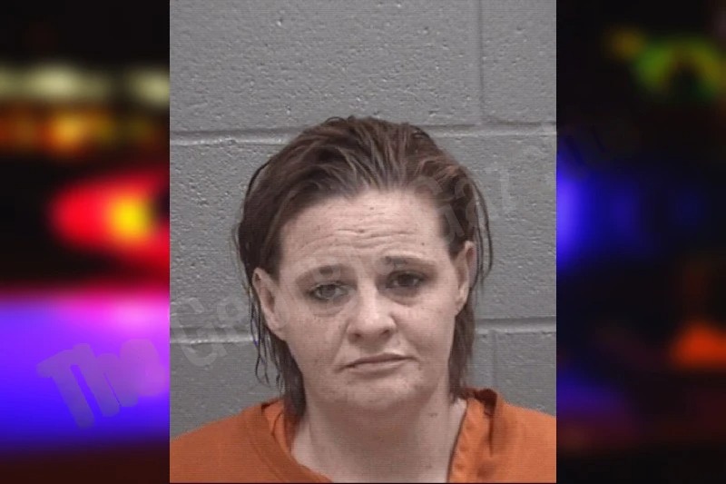 Jennifer Johnson Mugshots