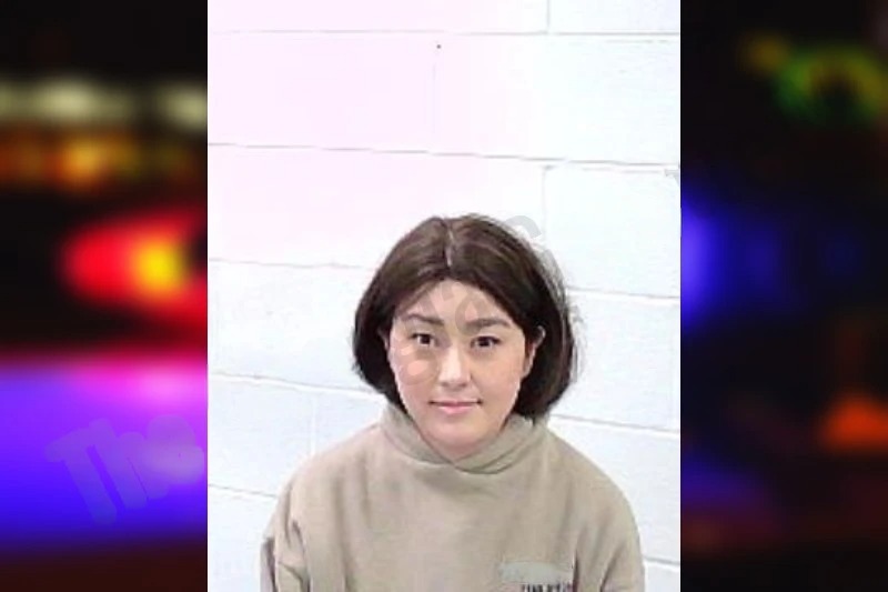 Jennifer Lin Mugshots