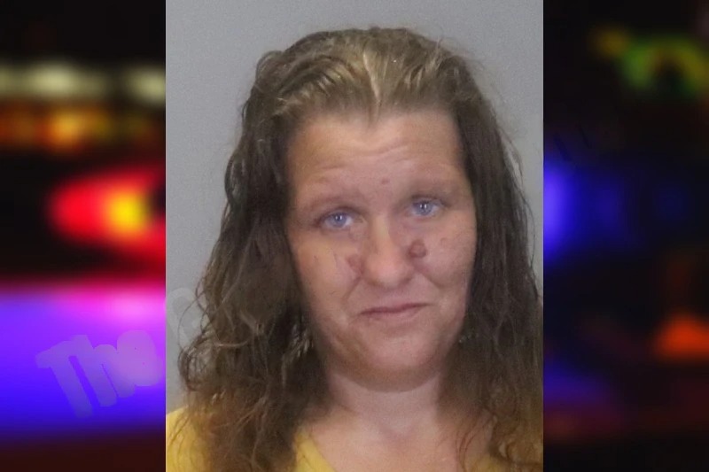 Jennifer McFay mugshot