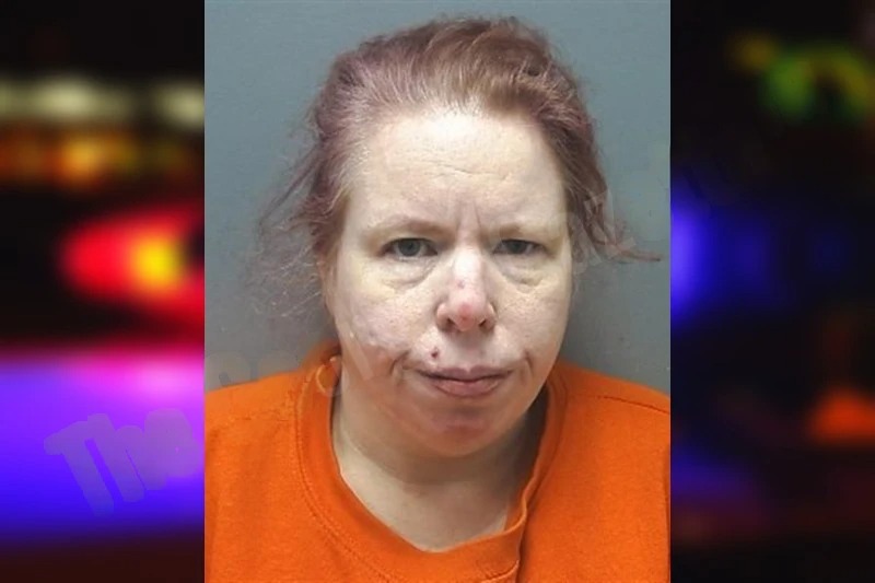 Jennifer McGreevy mugshot – Cherokee County , Georgia Jennifer McGreevy mugshot