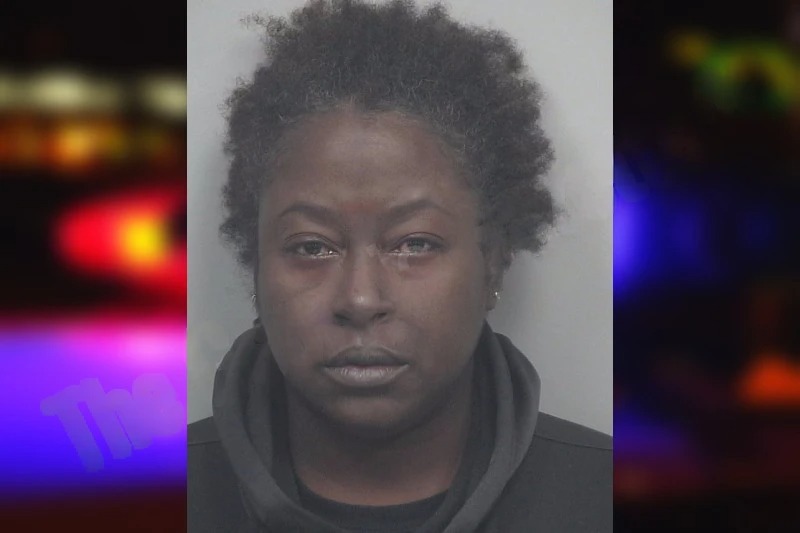 Jennifer Thompson Mugshots