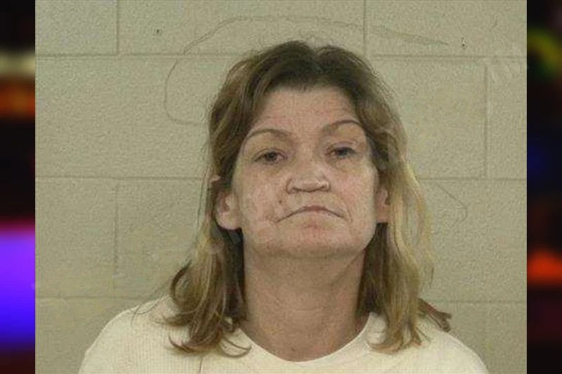 Jennifer Wiggins mugshot – Liberty County , Georgia Jennifer Wiggins mugshot