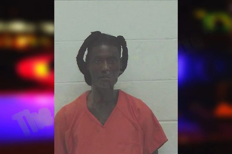 Jerel Hamilton mugshot – Worth County , Georgia Jerel Hamilton