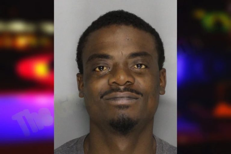 Jerome Turner mugshot – Cobb County , Georgia Jerome Turner