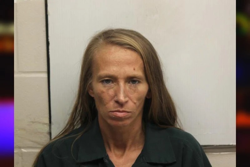 Jerri Lewis-Hannah mugshot – Chatham County , Georgia Jerri Lewis-Hannah mugshot