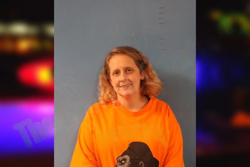 Jessica Ashe Mugshots