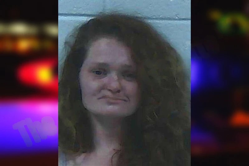 Jessica Chambers Mugshots