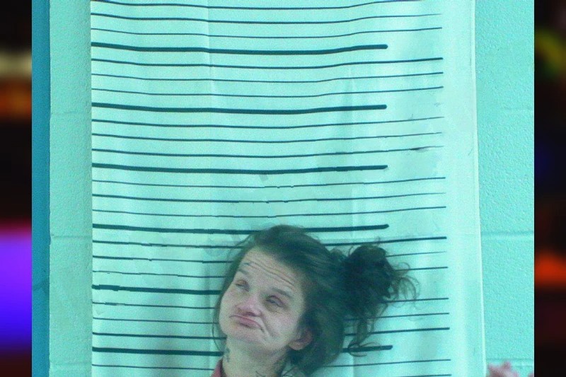 Jessica Davis Mugshots