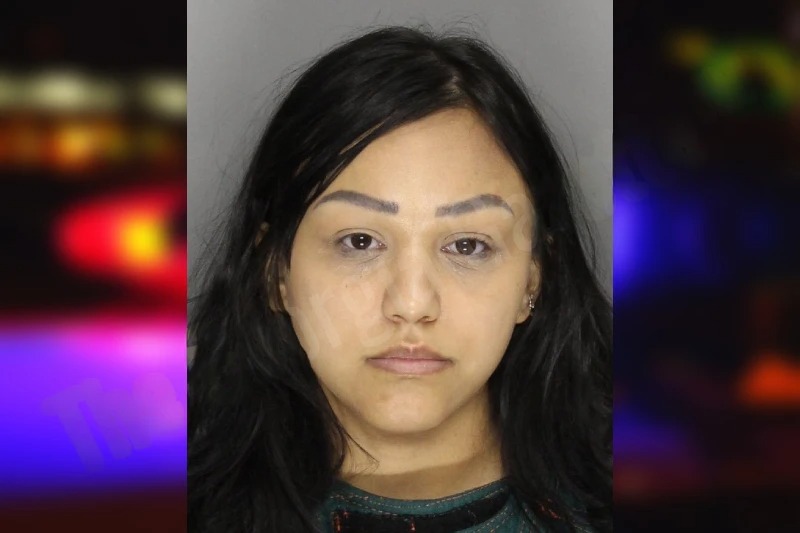 Jessica Estrada mugshot – Cobb County , Georgia Jessica Estrada mugshot