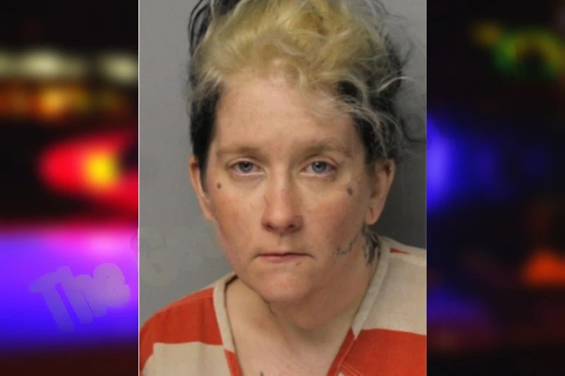 Jessica Hicks Mugshots