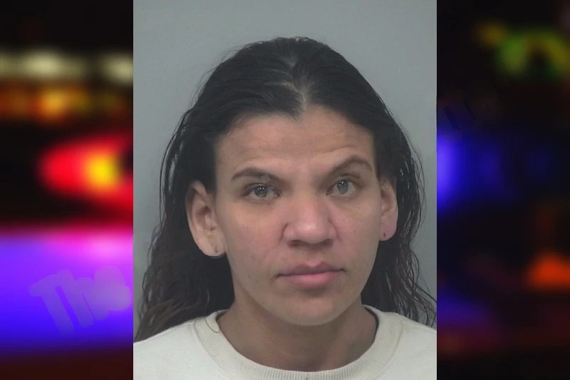 Jessica Mendez-Avilez mugshot