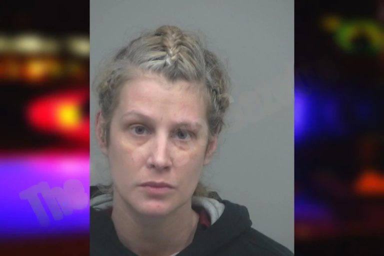 Jessica Yonce mugshot – Gwinnett County , Georgia Jessica Yonce