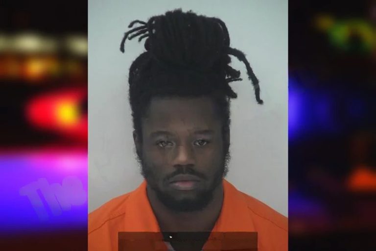 Jessie Davis mugshot – Fayette County , Georgia Jessie Davis