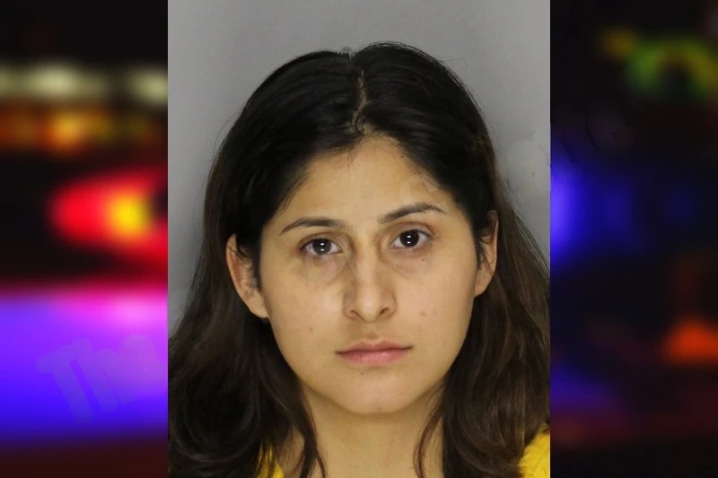 Jetzy Romero mugshot – Cobb County , Georgia Jetzy Romero mugshot