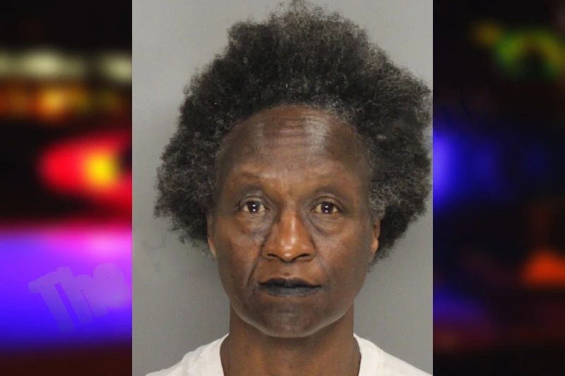 Jill Wooten mugshot – Cobb County , Georgia Jill Wooten mugshot