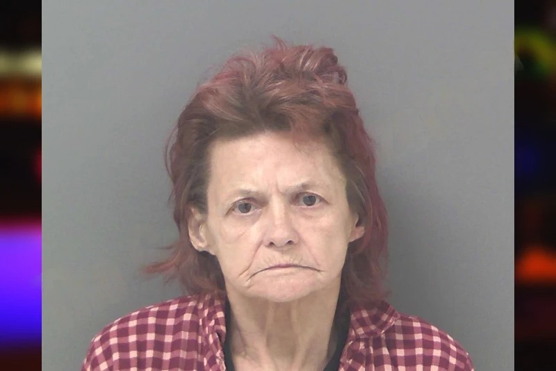 Joan Nesmith mugshot – Douglas County , Georgia Joan Nesmith mugshot