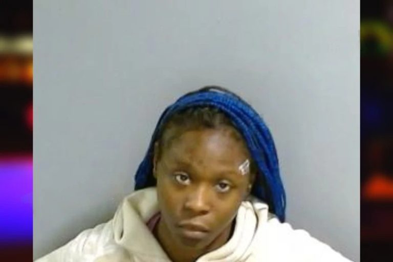Johnetta Johnson mugshot – Fulton County , Georgia Johnetta Johnson
