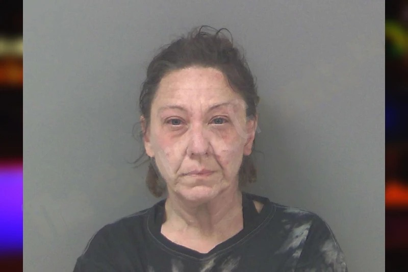 Joni Perkey Mugshots