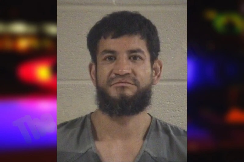 Jorge Perez-Salaises Mugshots