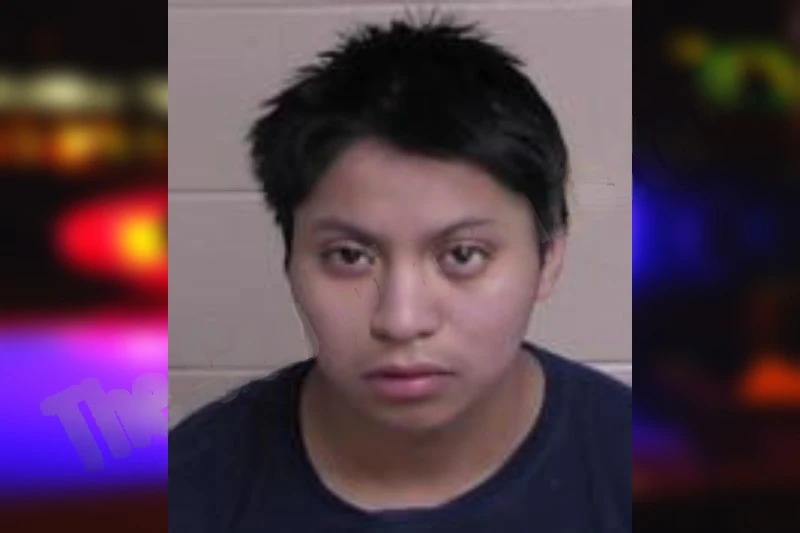 Jose Chichus mugshot – Walker County , Georgia Jose Chichus mugshot