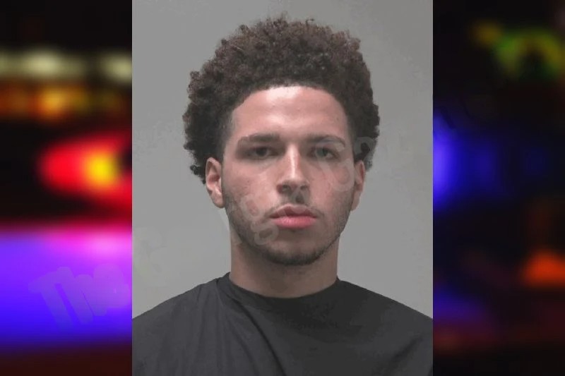 Joselyn Anziani Mugshots