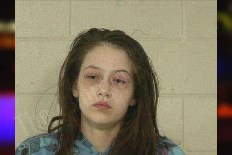 Journey Blevins Mugshots