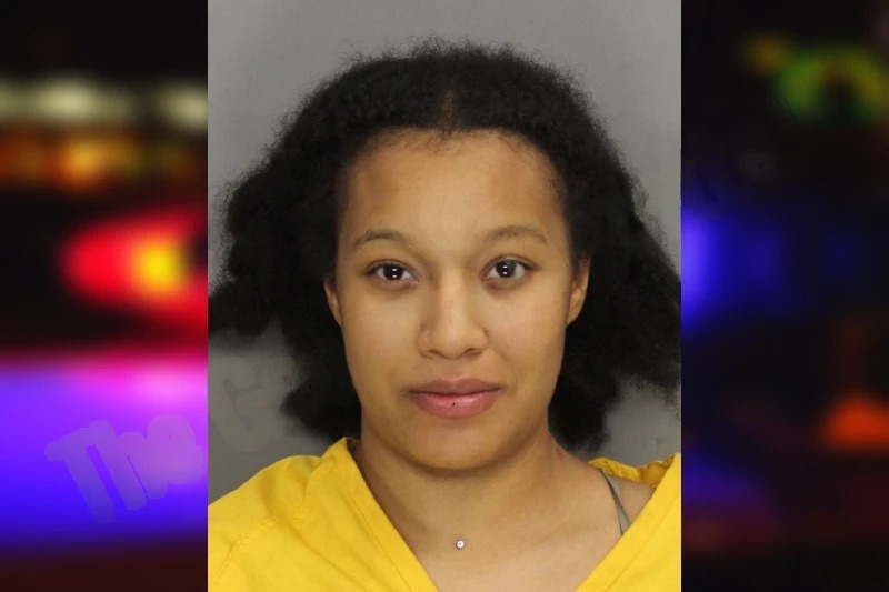 Journey Hall Mugshots