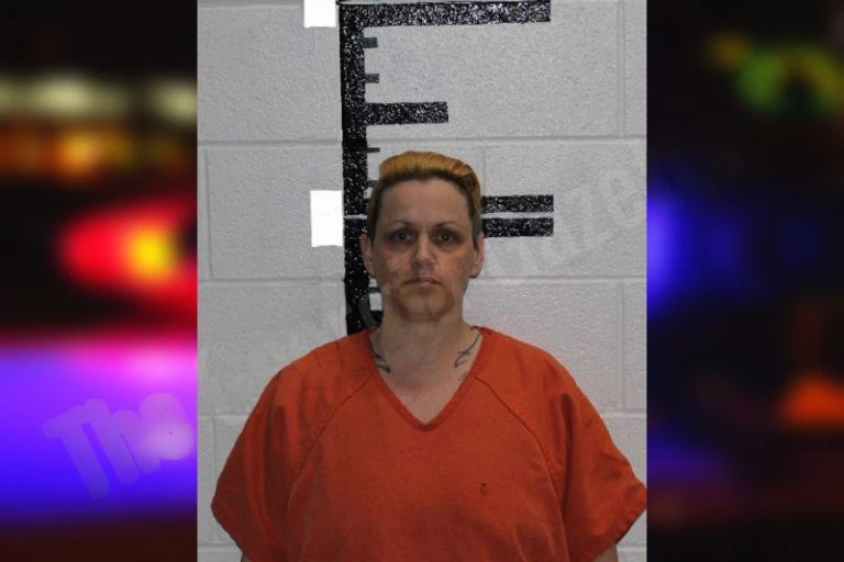 Joy Smith mugshot – Murray County , Georgia Joy Smith