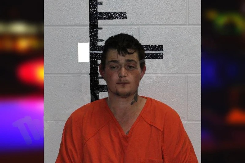 Joyce Spivey mugshot – Murray County , Georgia Joyce Spivey mugshot