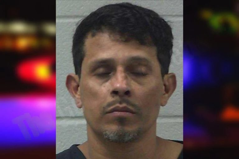 Juan-Luis Mendoza mugshot – Gilmer County , Georgia Juan-Luis Mendoza