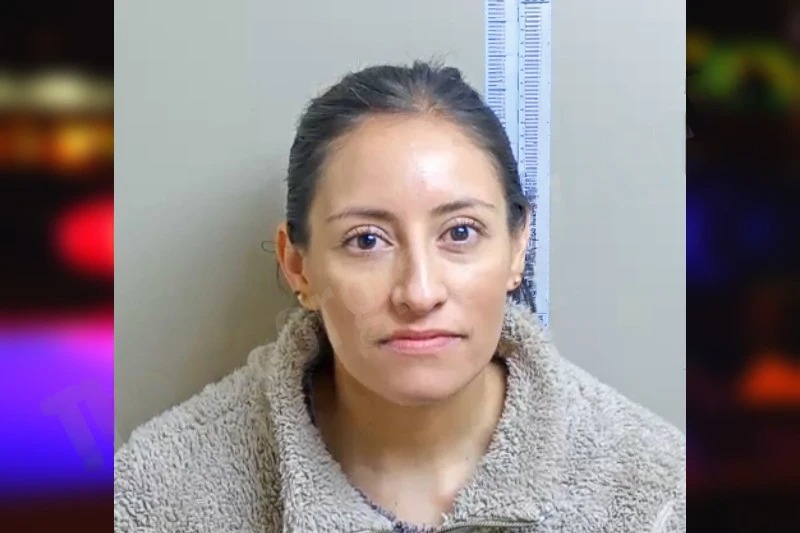 Juana Alvarez-Lira Mugshots