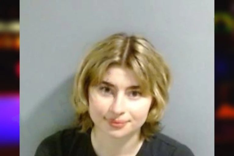 Julia Kotowski mugshot – Fulton County , Georgia Julia Kotowski