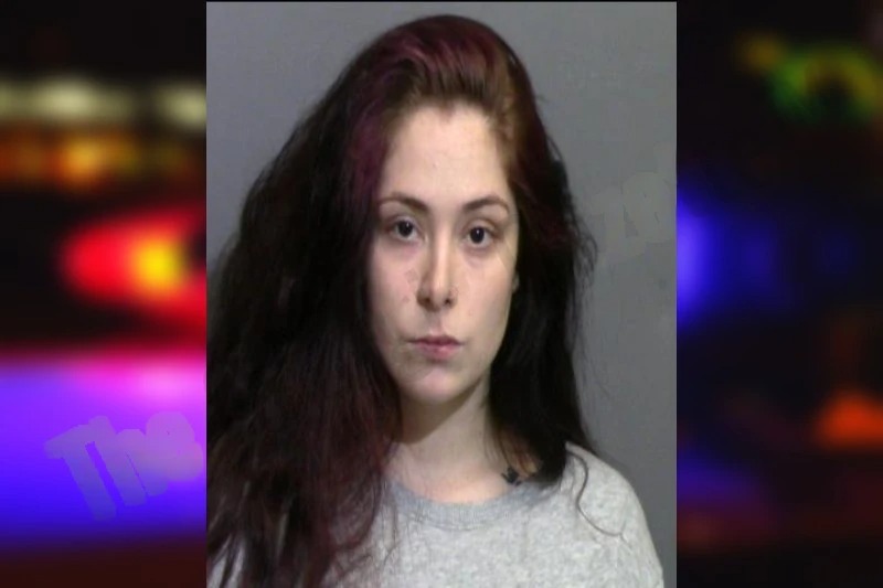 Juliadas Romero-Hernandez mugshot