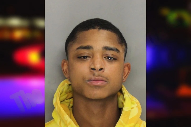 Julian Ellis mugshot