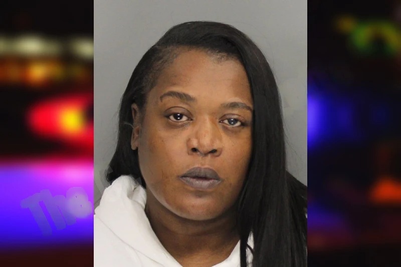 Julie Harris mugshot